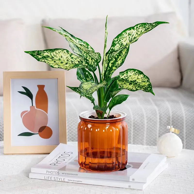 Self-absorbent hydroponic flowerpot transparent plastic resin small green plant pot vertical stripe