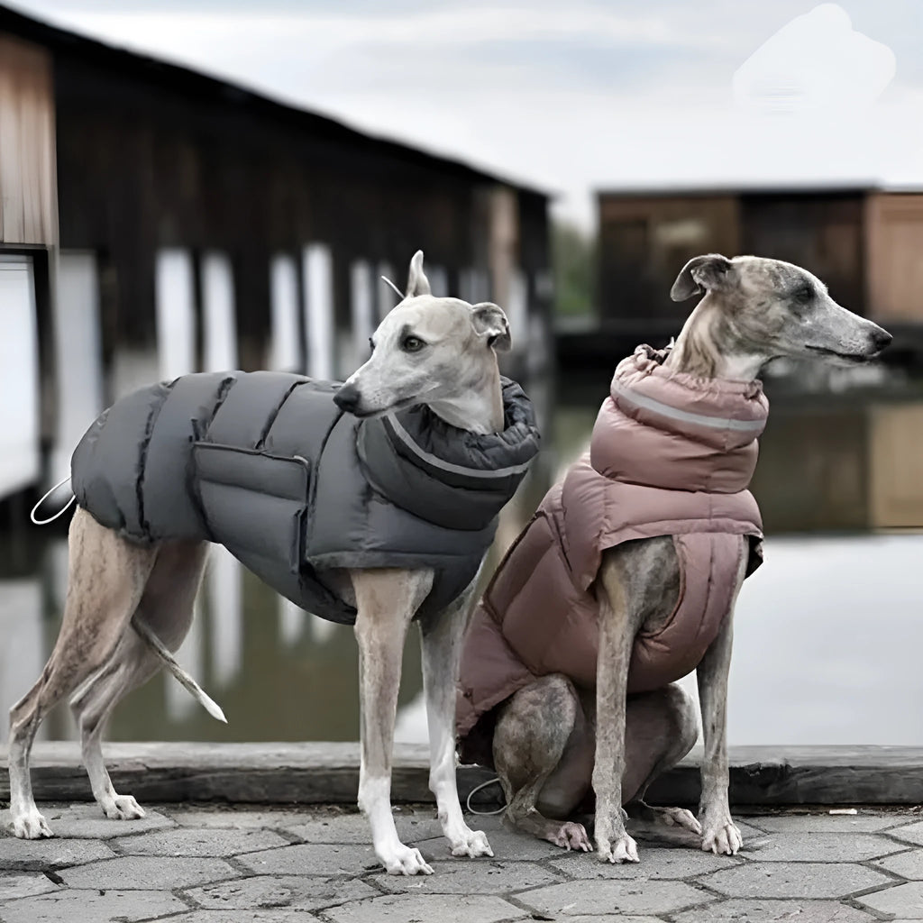 Thickened thermal dog vest in dark grey, made from recycled polyester, available in sizes S to XL.