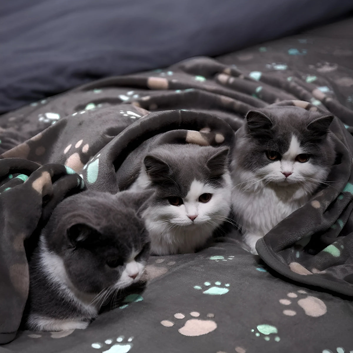 Flannel thickened pet blanket for dogs and cats in XS to XL sizes, cloth pet nest cover with pattern options.