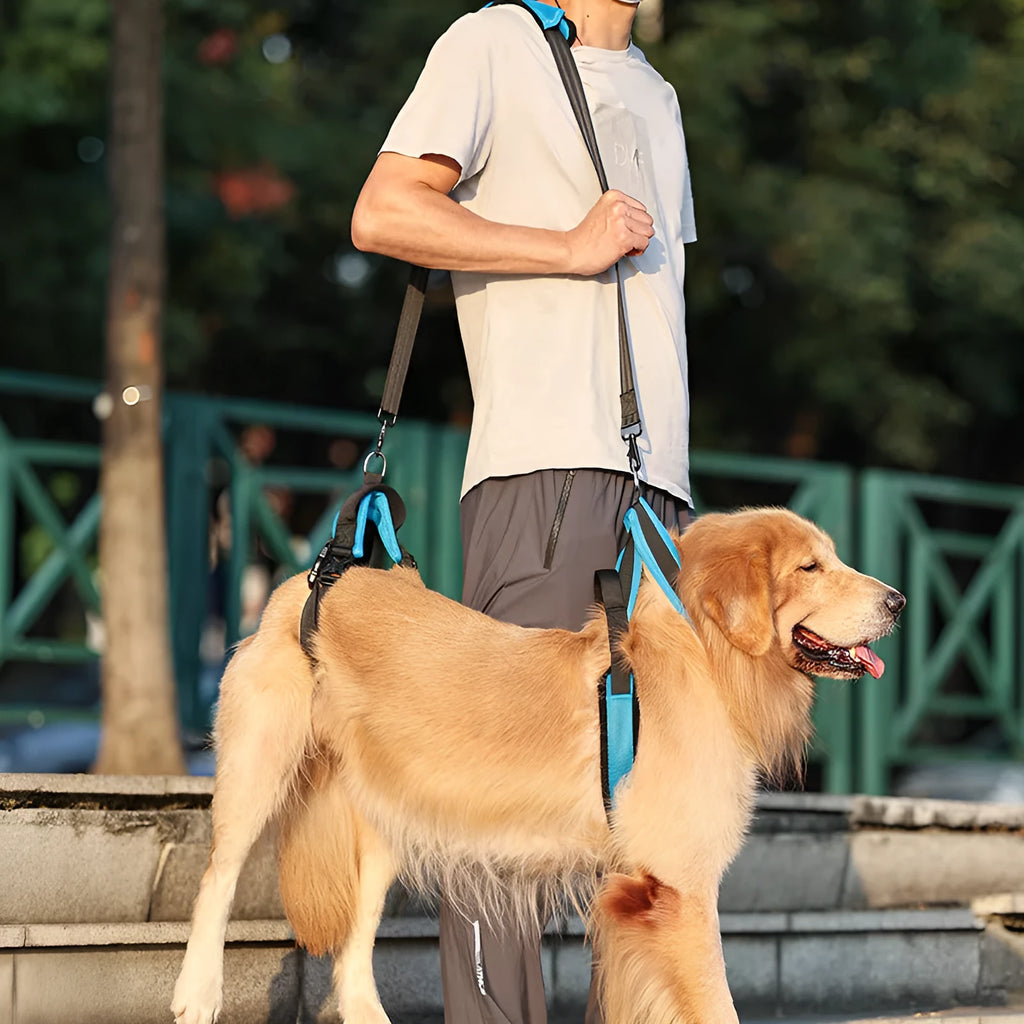 Blue polyester dog auxiliary strap hand held rope for walking training pet supplies