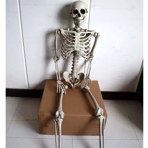 Full-sized 170 cm tall plastic skeleton prop with detailed skull on a stand.