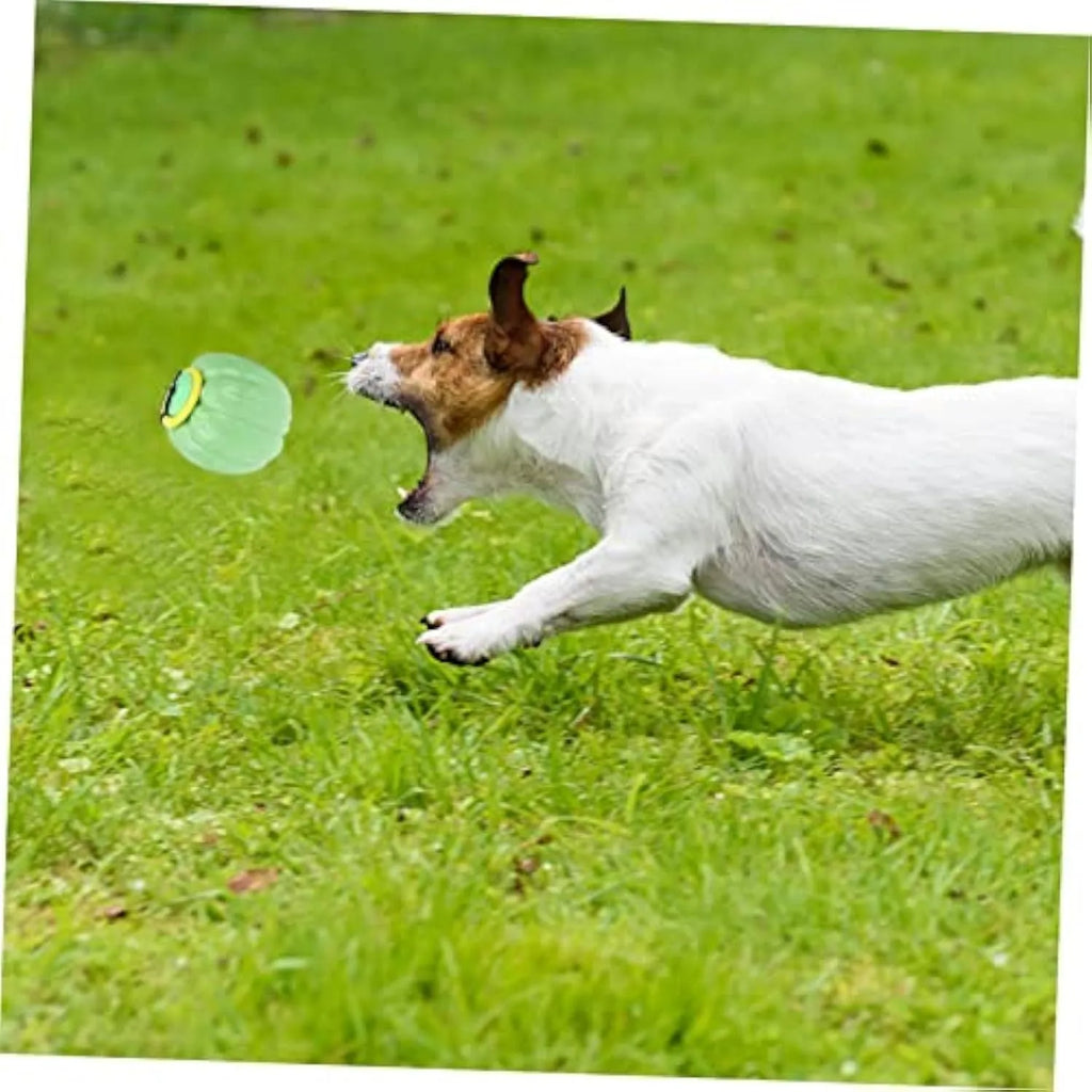 Orange plastic pumpkin-shaped dog toy with squeaker for small dogs on a green background.