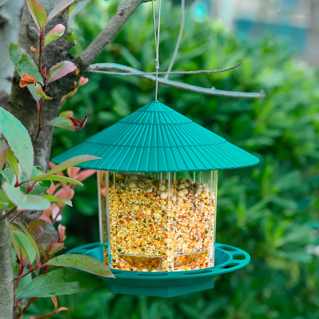 Outdoor garden hanging transparent bird feeder in green PP material with automatic feeding mechanism