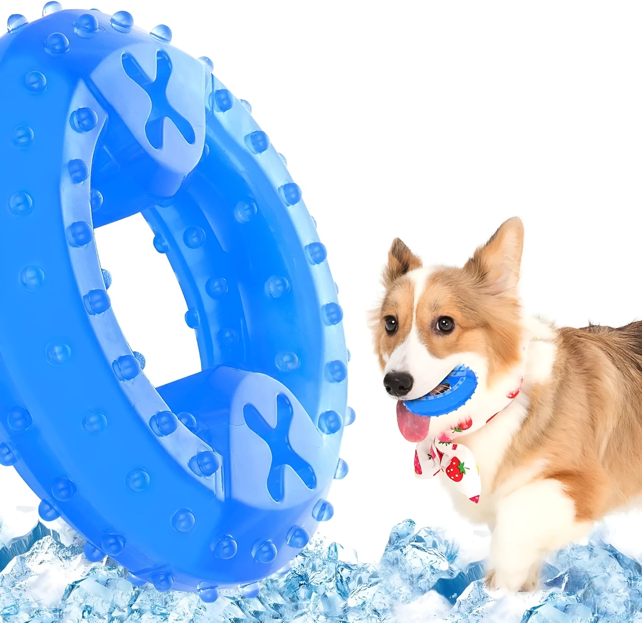 Freezable blue dog chew toy with textured surface and a cavity for treats.