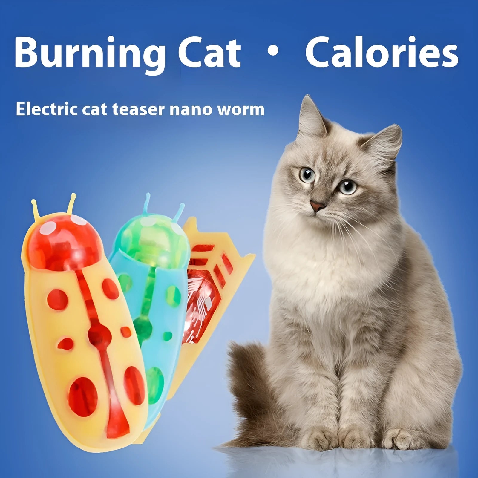 Small plastic electric cat teaser toy in ladybug red and black colour style on a hard floor.