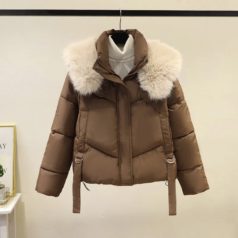Loose-fit women's short padded jacket with a stand-up collar shown in claret colour.