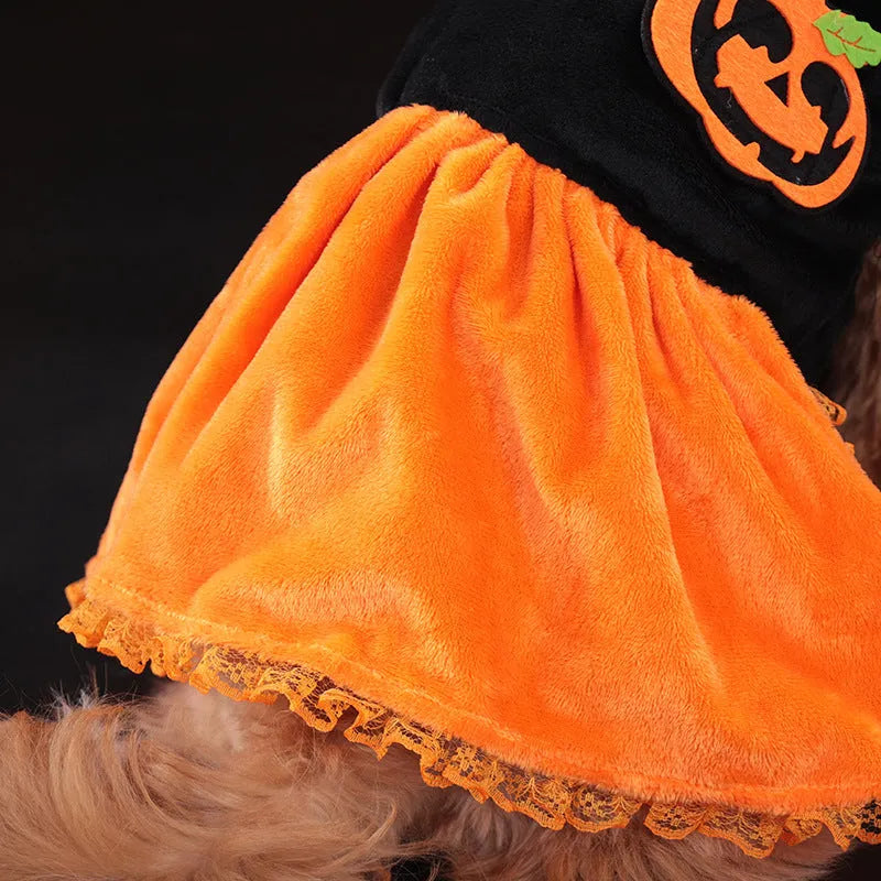 Halloween pumpkin skirt pet costume for small dogs and cats in crystal velvet material