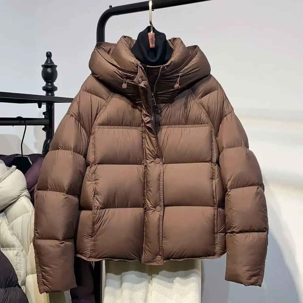 Women's puff down cotton jacket in black, beige, coffee, gray or purple, slim fit, long sleeve, sizes M to 2XL