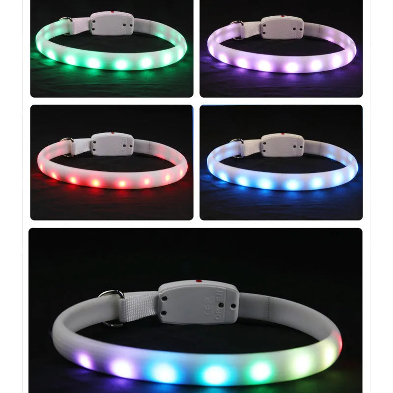 White USB rechargeable LED dog collar with glowing lights on a dog, adjustable 60cm safety collar for night walking