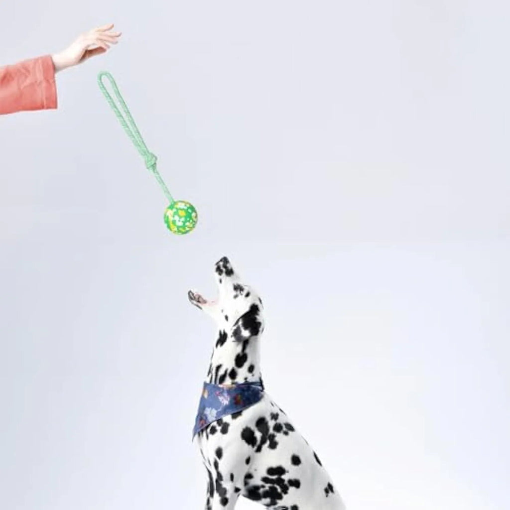 Natural rubber dog ball attached to nylon rope for medium and small breed interactive play