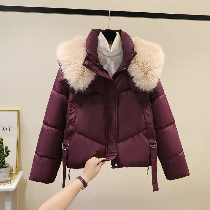 Women's short black quilted jacket with a stand-up collar on a hanger.