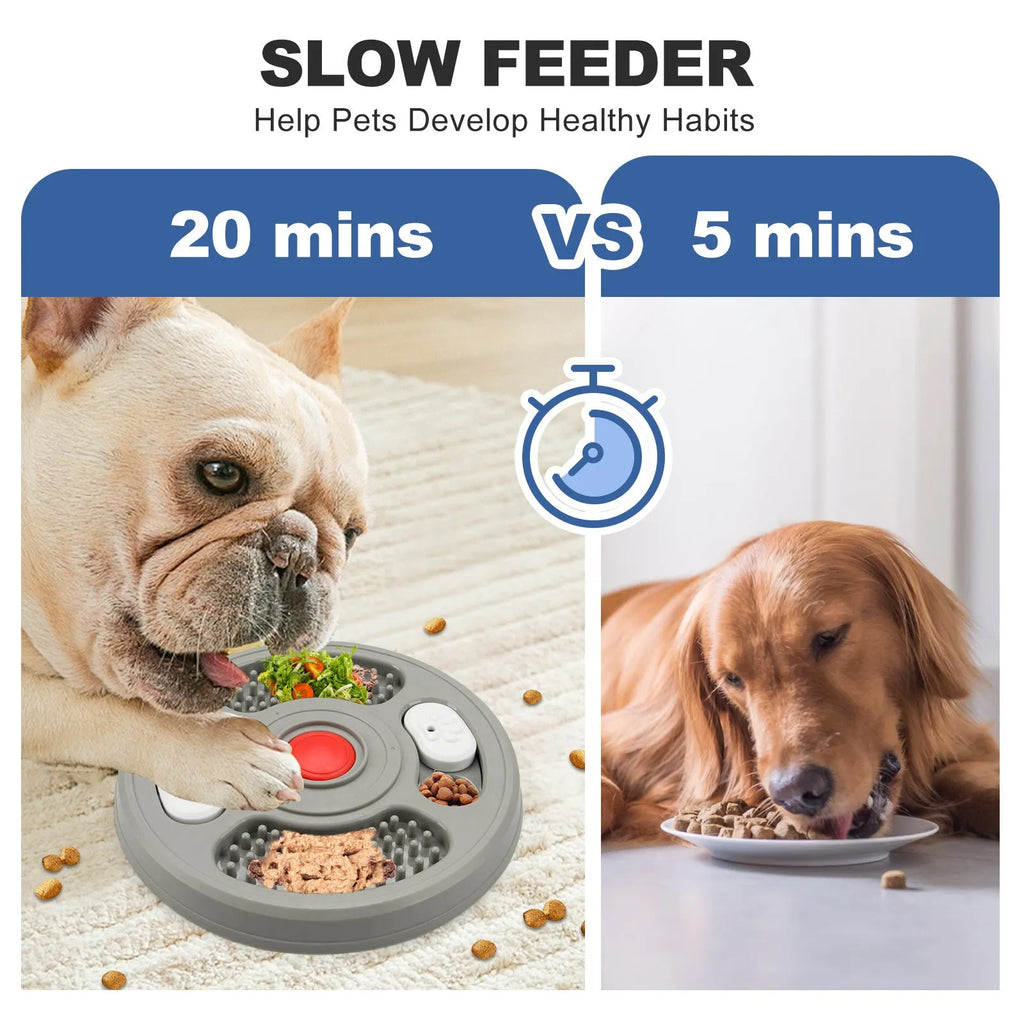 Blue and grey plastic dog slow feeder bowl with anti-slip base and food puzzle grooves