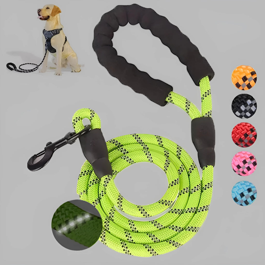Reflective luminous nylon dog leash 1.5m length 0.8cm width in blue for small medium pets