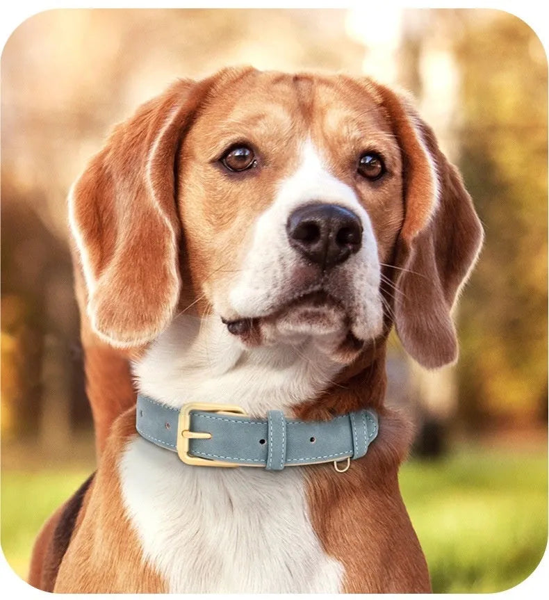 Brown double-layer leather dog collar with mohair lining and a matching leash on a wooden surface.