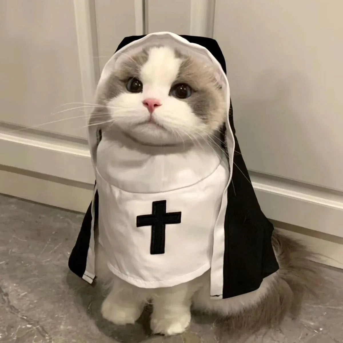 Black and white nun costume for small to medium dogs on Halloween