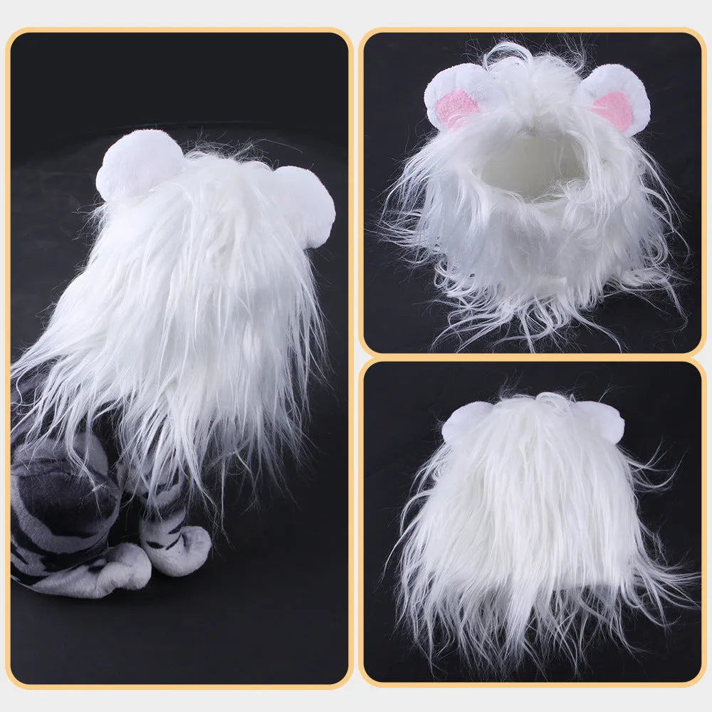 Cat wearing lion headgear wig hat costume in black colour