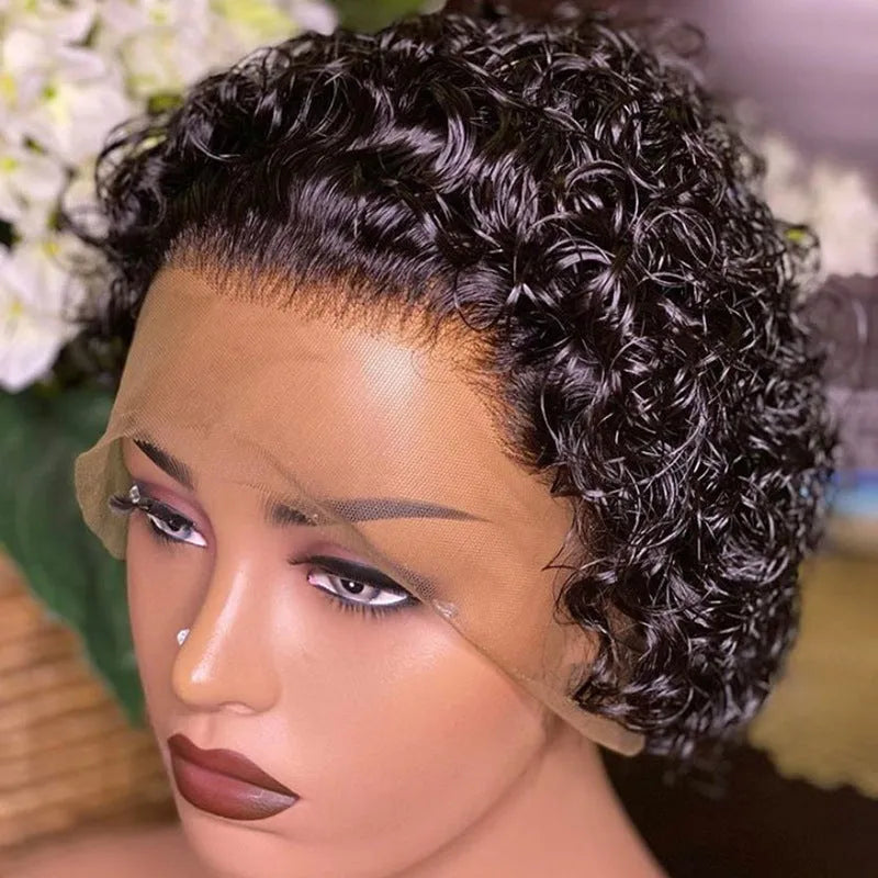 Black human hair wig with a 13x1 pre-plucked lace front, shown in a natural, straight style for daily wear.