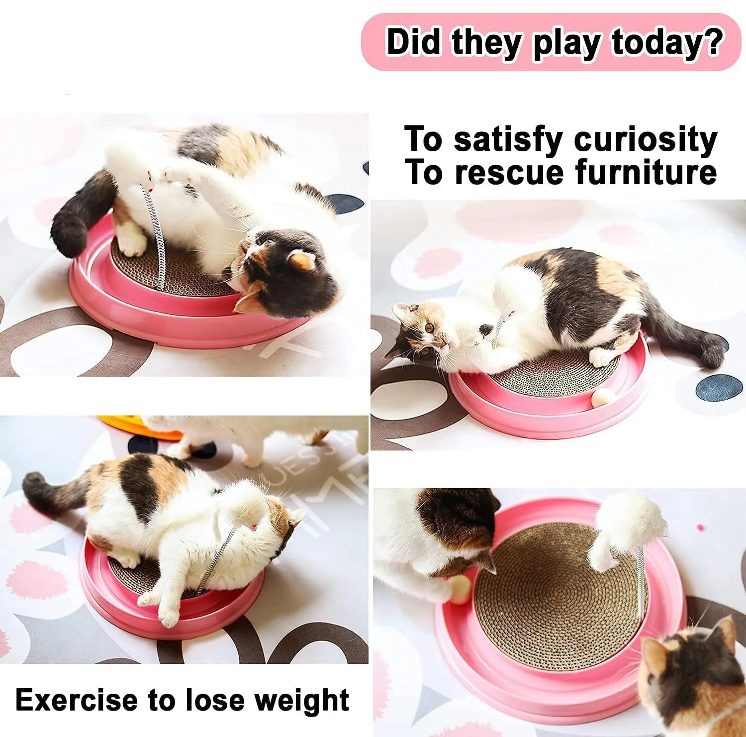 Blue interactive cat scratcher toy with ball track and replaceable scratch pad on a round base.