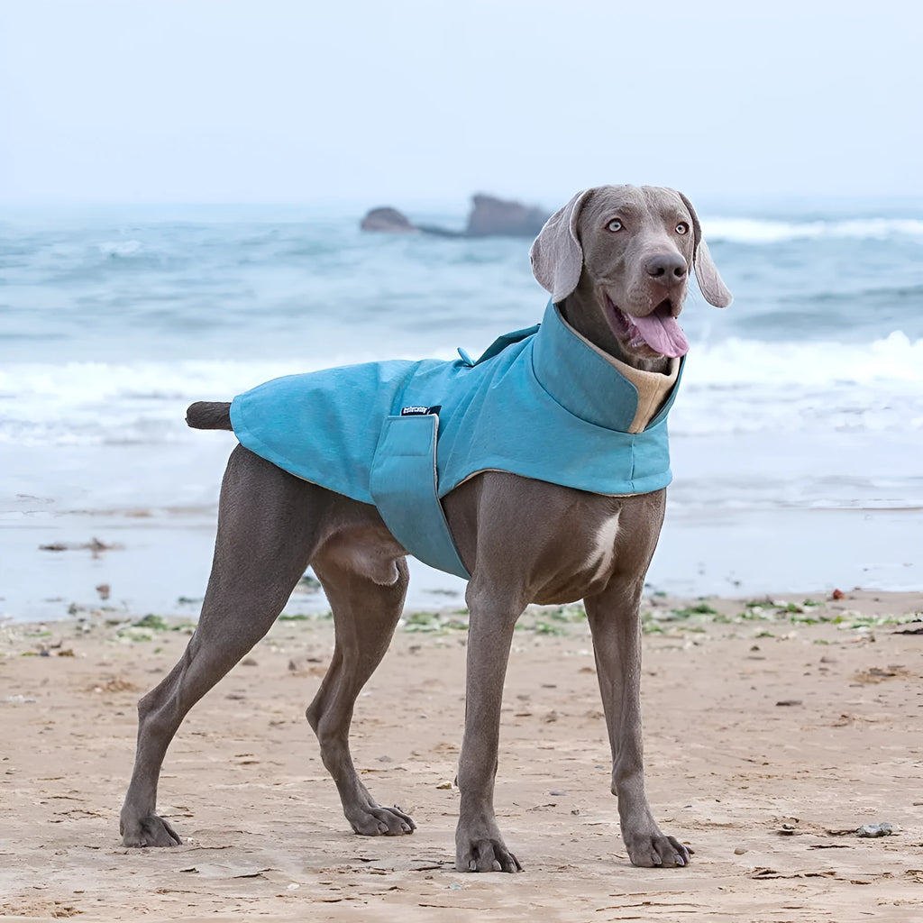 Polyester dog vest for medium large dogs in rose red, light blue, or grey colour