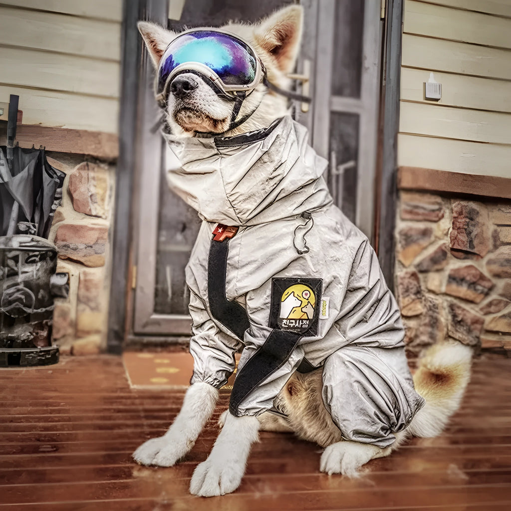 Four-legged waterproof dog raincoat in reflective grey nylon, full-surrounded design, sizes 4 to 6