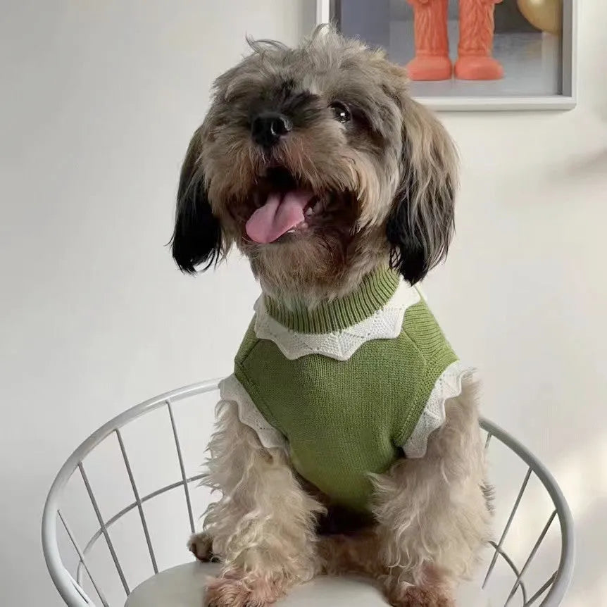 Green flower blossom pattern knit dog sweater shown on a small dog, with size chart for XS S M L XL.