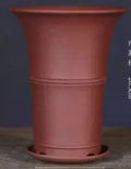 Large-diameter purple clay orchid pot in classical style, suitable for Clivia and succulents