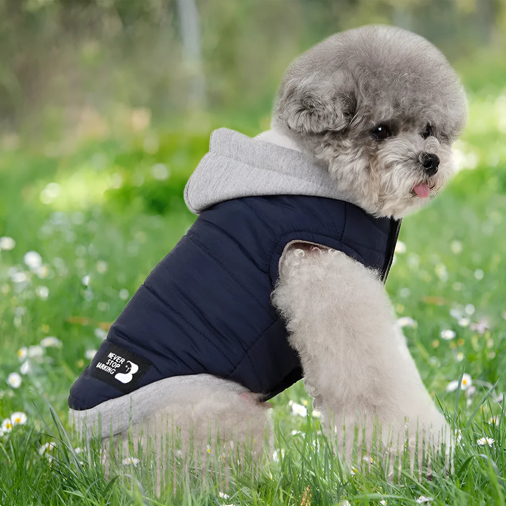 Cotton fleece windproof dog jacket in blue, green, wine red, sizes M to 3XL
