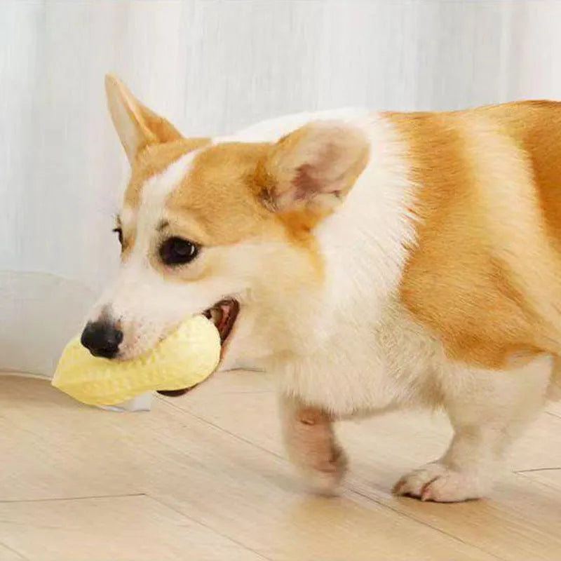 Yellow squeaky peanut-shaped dog chew toy made of durable TPR rubber.
