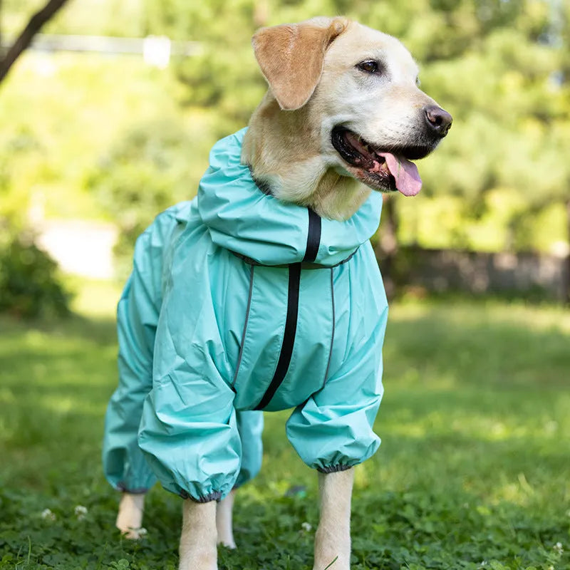 Red dog shell jacket with cotton padding shown on model dog with sports-style design