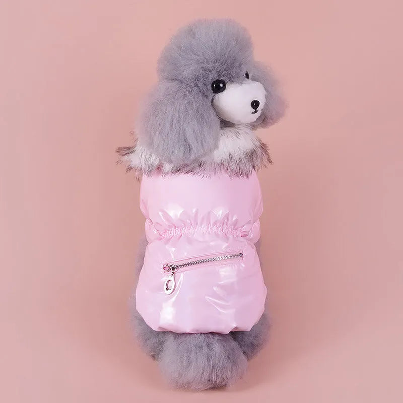 British-style blue cotton winter jacket for dog on wooden background
