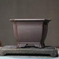 Chinese-style classical indoor bonsai simple purple clay flowerpot in brown, 17x11.5cm