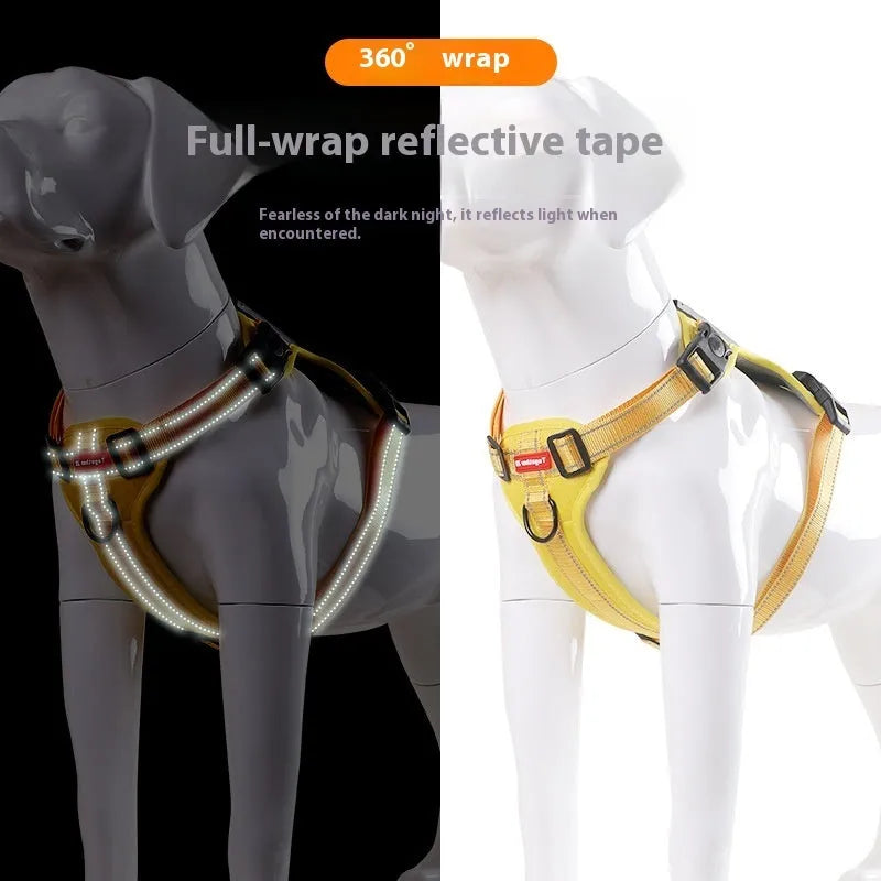 A Lake Blue coloured dog harness and lead set showing the Y-shaped front and adjustable straps on a model.