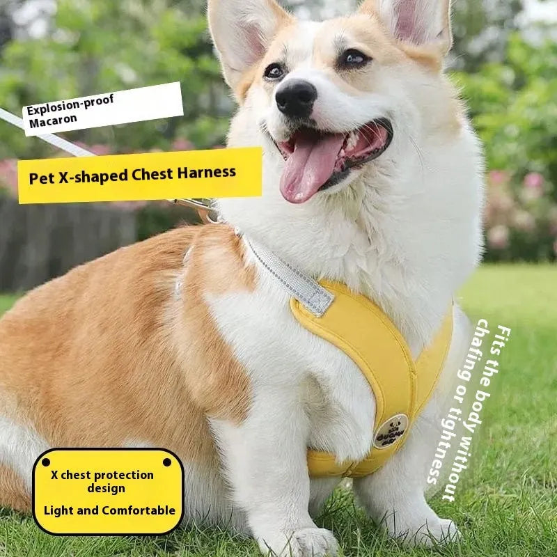 Pink polyester dog harness and bungee rope lead set shown on a size chart.