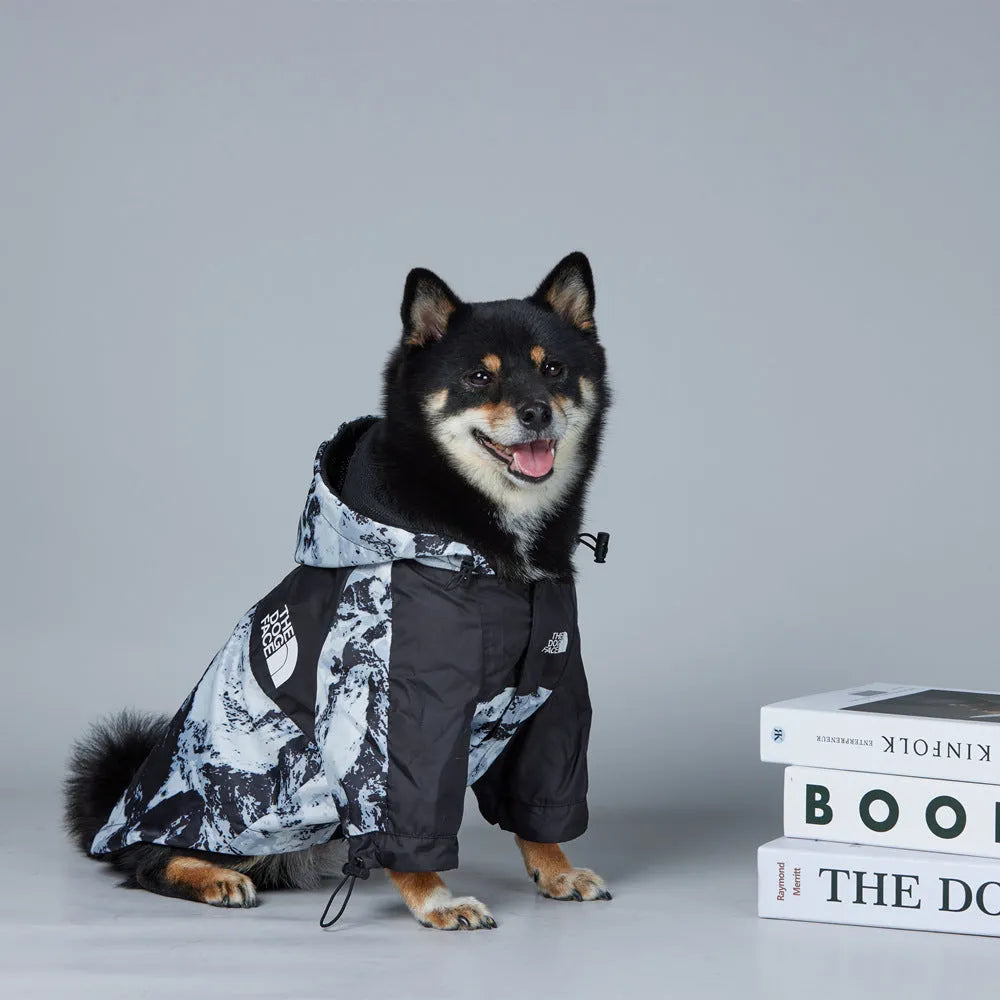 Dog wearing a windproof cotton coat with Five Generation Snow Mountain pattern, polyester material, available in sizes S to 5XL