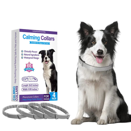 Pack of four solid-colour TPR dog calming collars with buckles, shown in assorted colours.