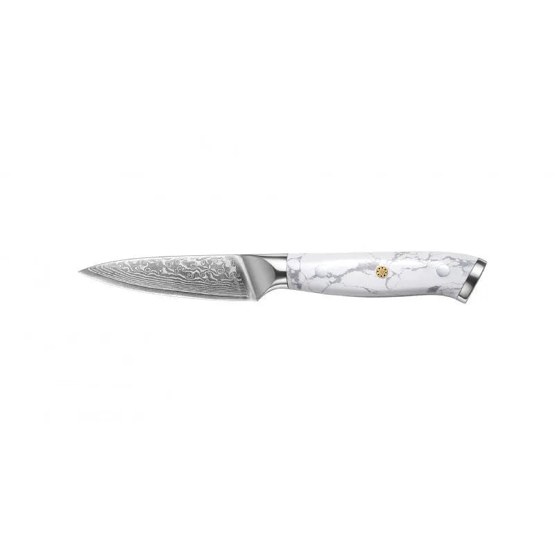 Damascus combined chef knife with 21cm VG10 steel blade and 11cm handle for kitchen use