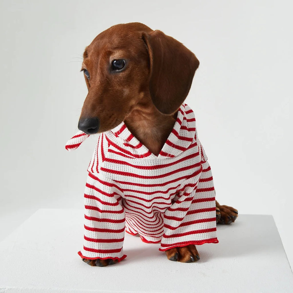 Striped hooded pet clothes in red and blue for dogs and cats, two feet design
