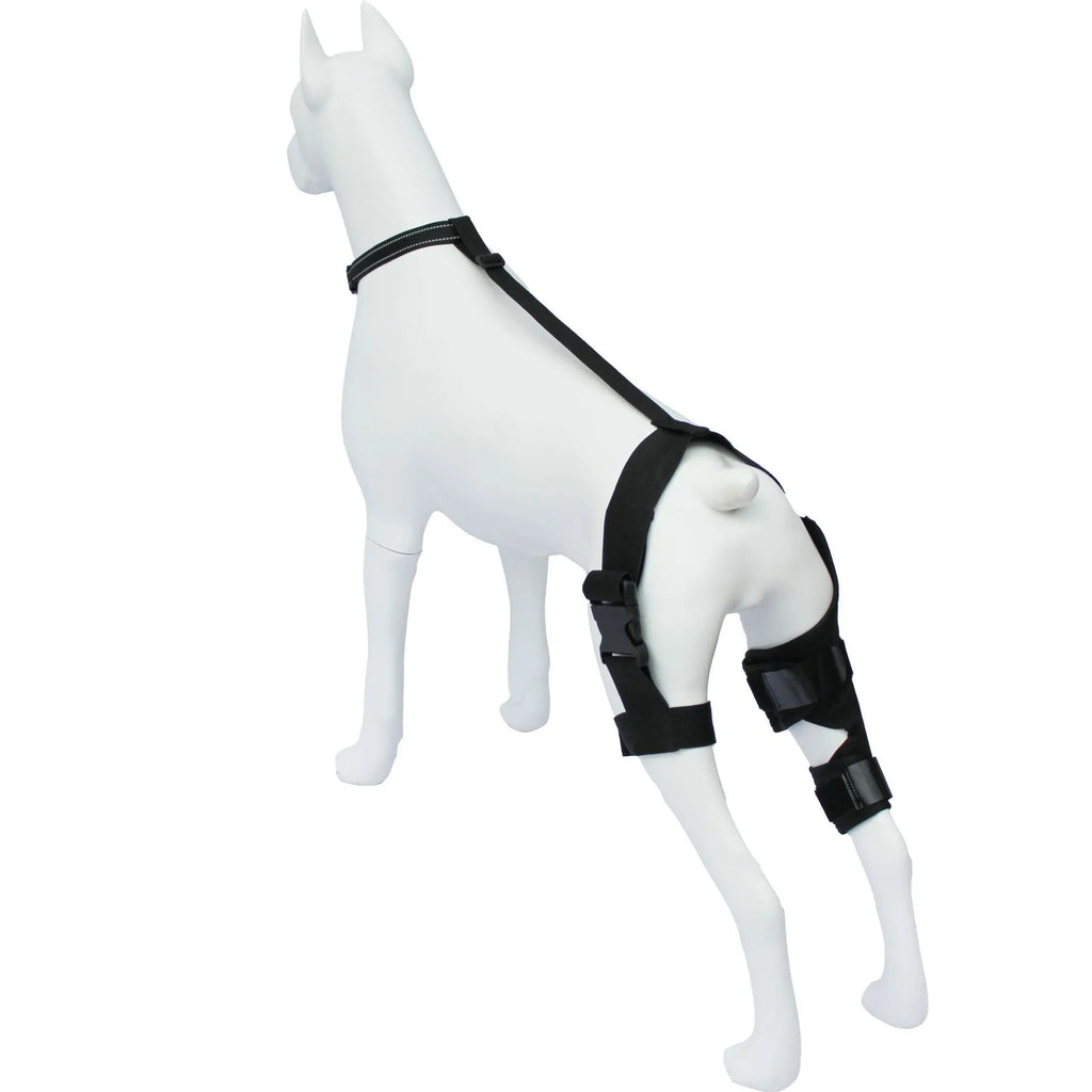 Adjustable neoprene dog hind leg knee brace assist strap in various colours