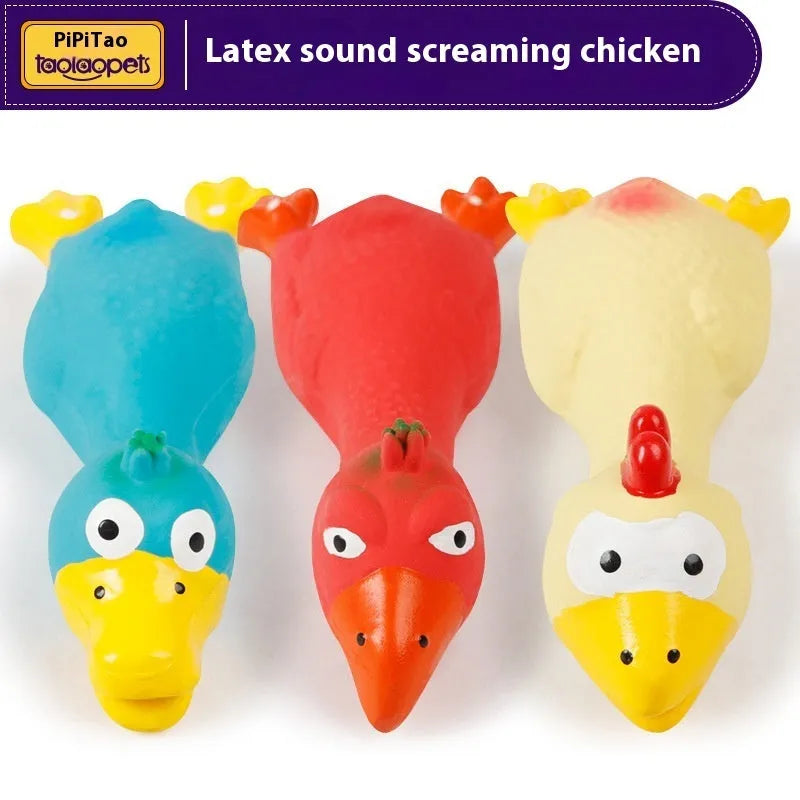 Brightly coloured latex duck pet sound toy in blue, red, and yellow for dogs and cats