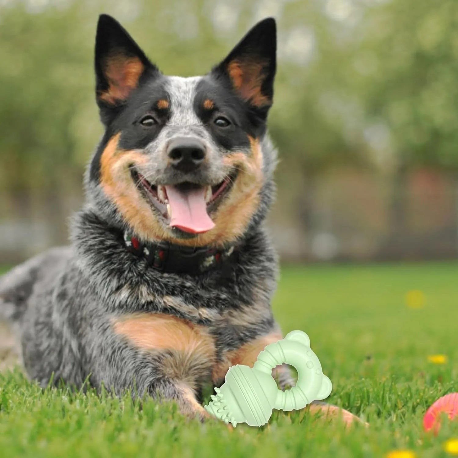 Blue rubber molar clean dog chew toy with bell shape and textured concave-convex surface.