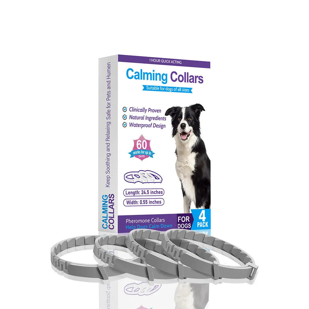 Pack of four solid-colour TPR dog calming collars with buckles, shown in assorted colours.