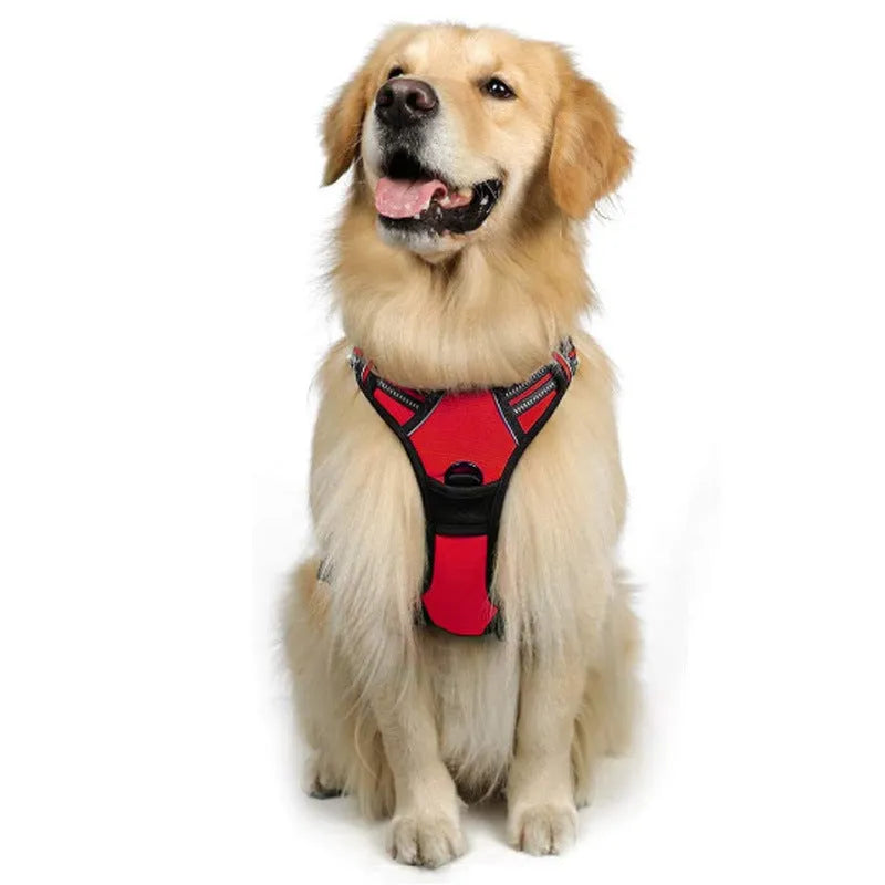 Nylon dog chest strap vest leash in blue with adjustable bust range 47-105cm, sizes S to XL