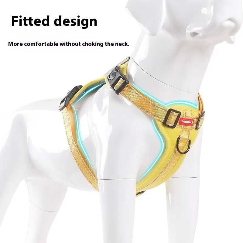 A Lake Blue coloured dog harness and lead set showing the Y-shaped front and adjustable straps on a model.