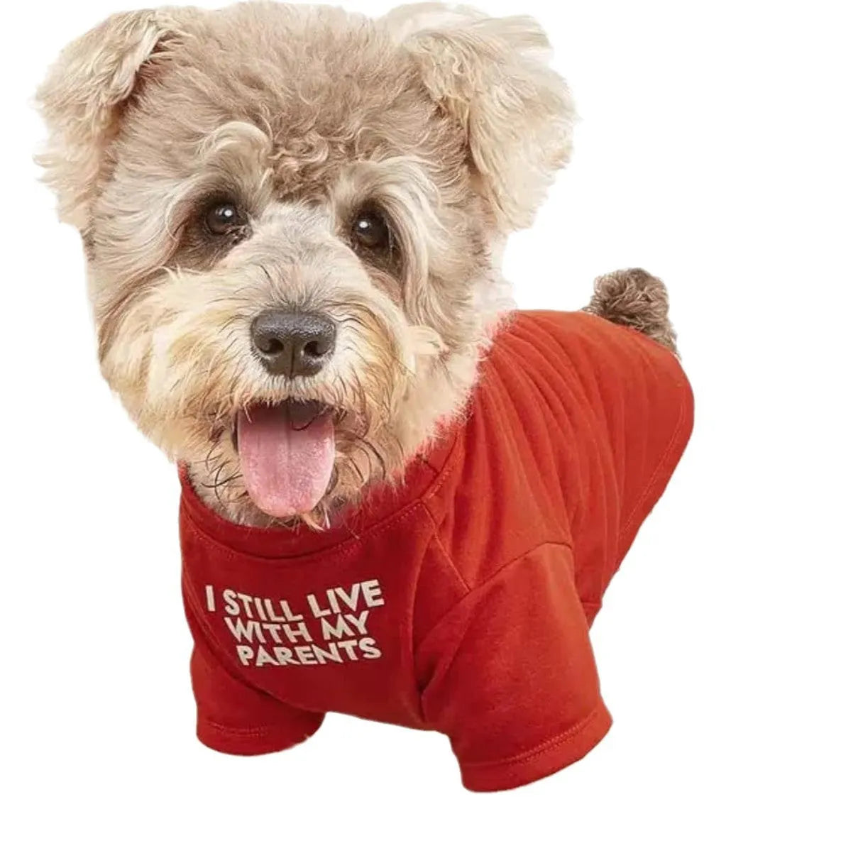 Pet clothes round neck T-shirt for dogs and cats made of breathable polyester in red, blue, black, and khaki