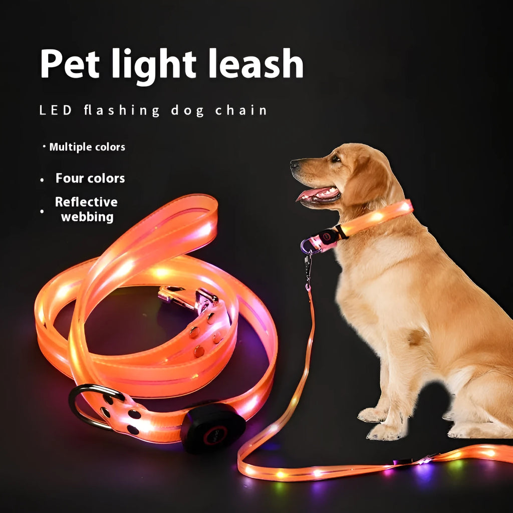 LED pet collar and hand holding rope in orange, blue, yellow or black, silk screen material, pet supplies