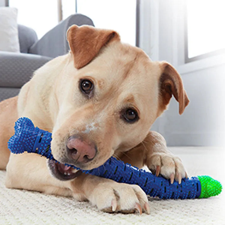 Blue green dog dental chew toy with silicone brush bristles and massage nodules, shown next to a tube of toothpaste.