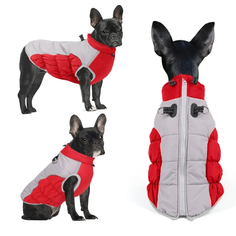 Windproof cotton dog winter coat for medium and large breeds in multiple colour options