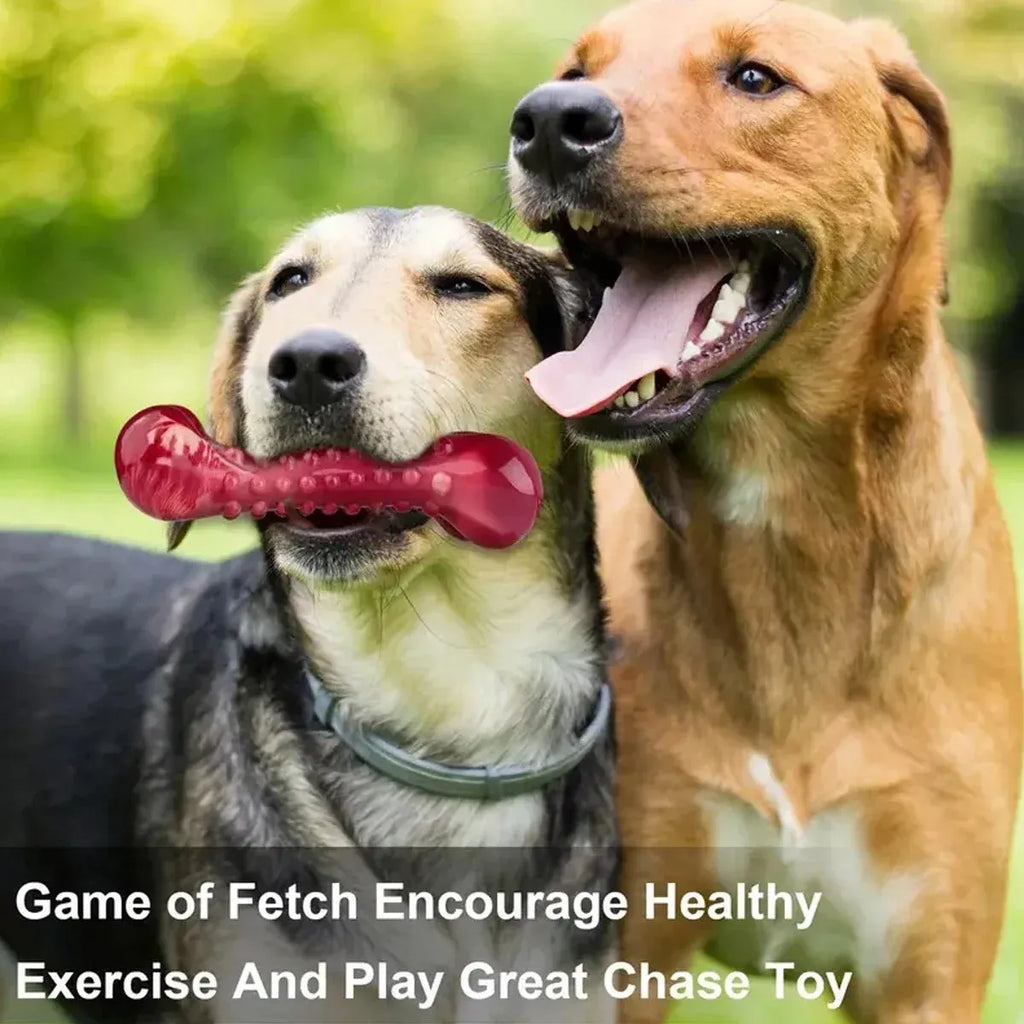 Red natural rubber chew toy for aggressive chewing dogs