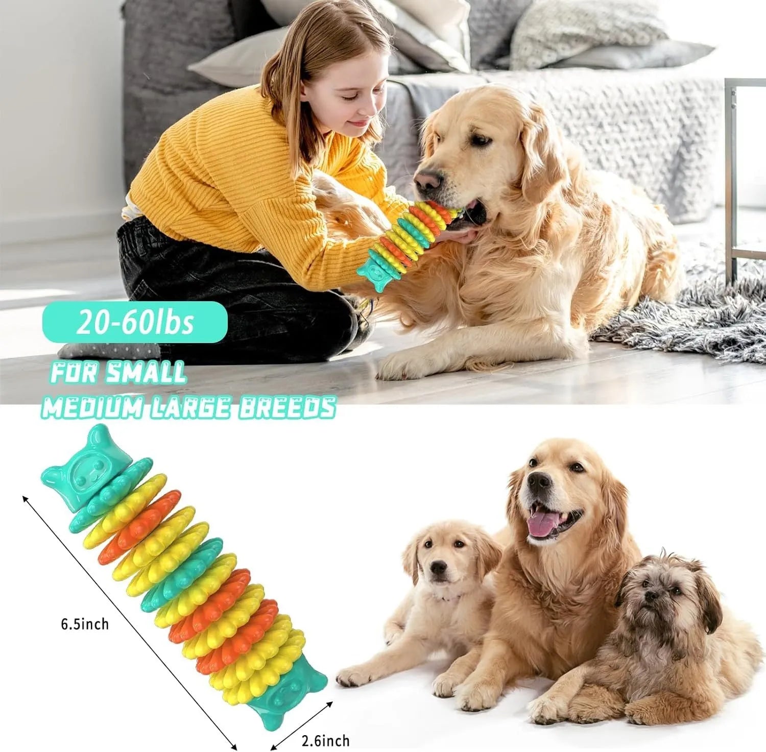 Blue, green, and pink caterpillar-shaped rubber dog chew toy for aggressive chewers.