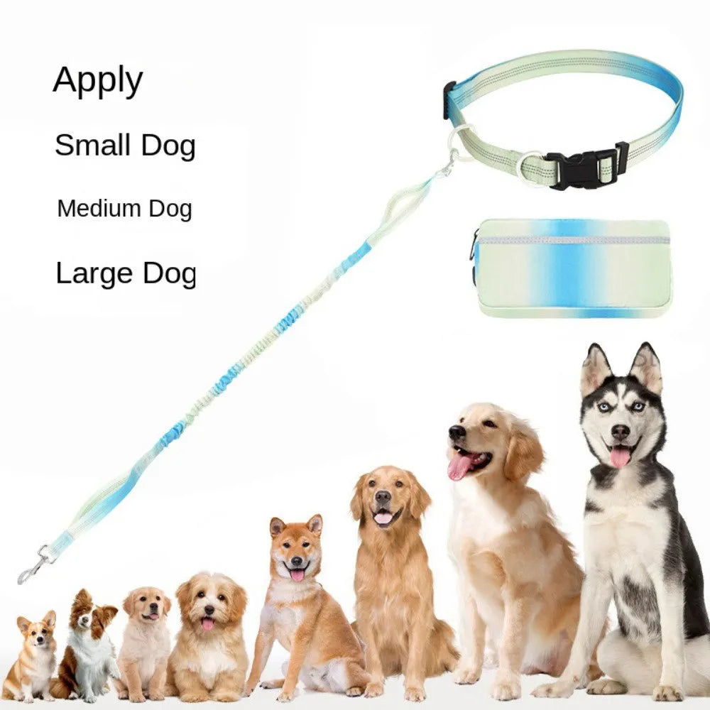 Adjustable hands-free dog leash with waist belt and 120-183cm polyester traction rope in blue